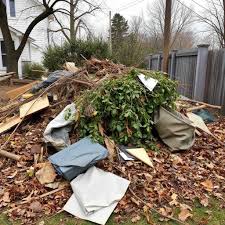 Yard Debris Removal example 4